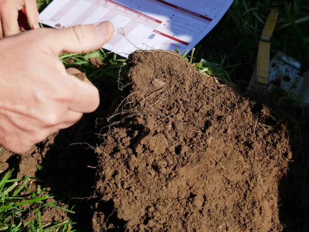 Un test à la bêche avec quelques examens rapides révèle beaucoup sur un sol.