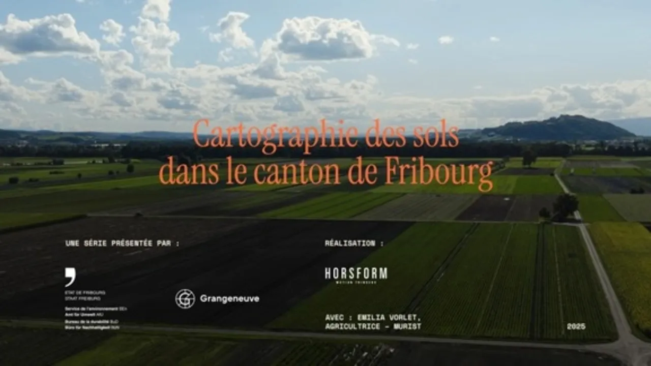 Vers les vidéos