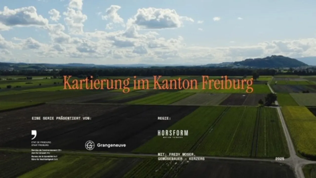 Zu den Videos