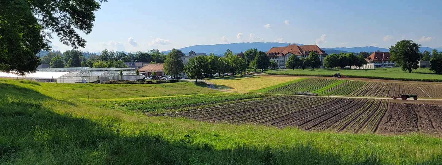 Grangeneuve