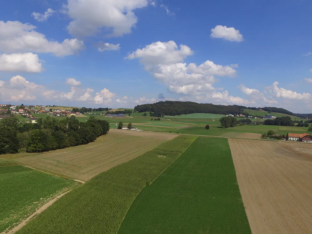 Le Palon enterré avant revitalisation. Prez, 2016