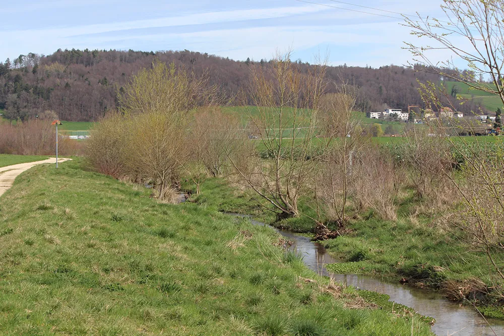 Le Palon, quelques années après les travaux. Prez, 2024