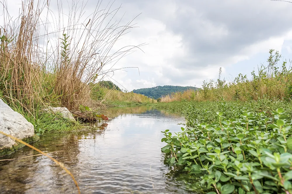 Le Palon, quelques mois après les travaux. Prez, 2018