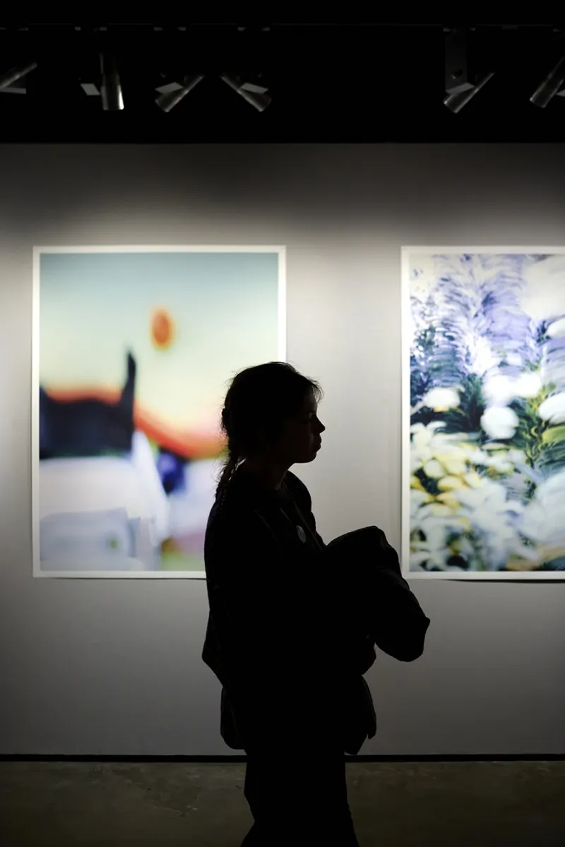 MAHF Austellung Francey