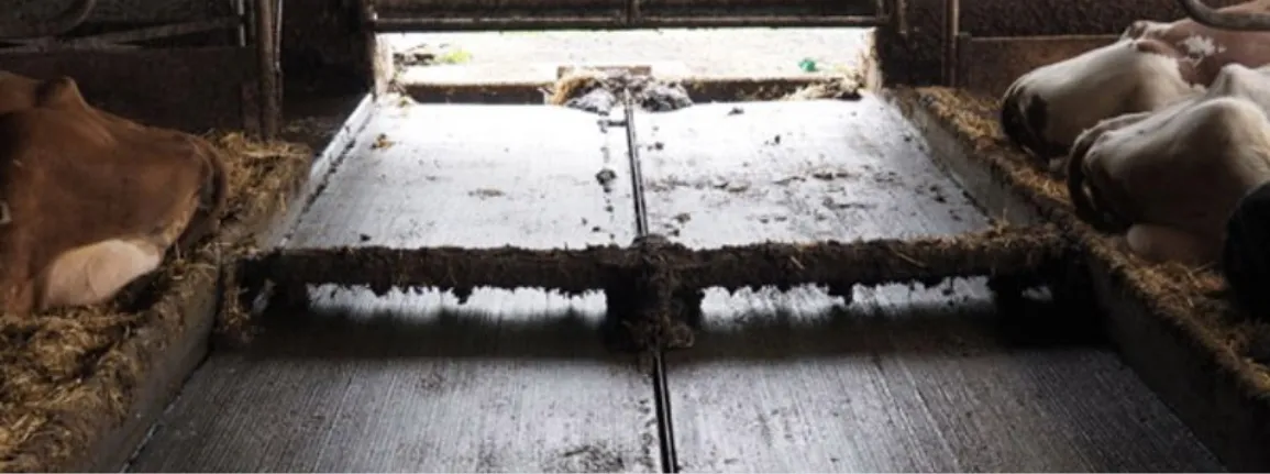 Propreté des couloirs