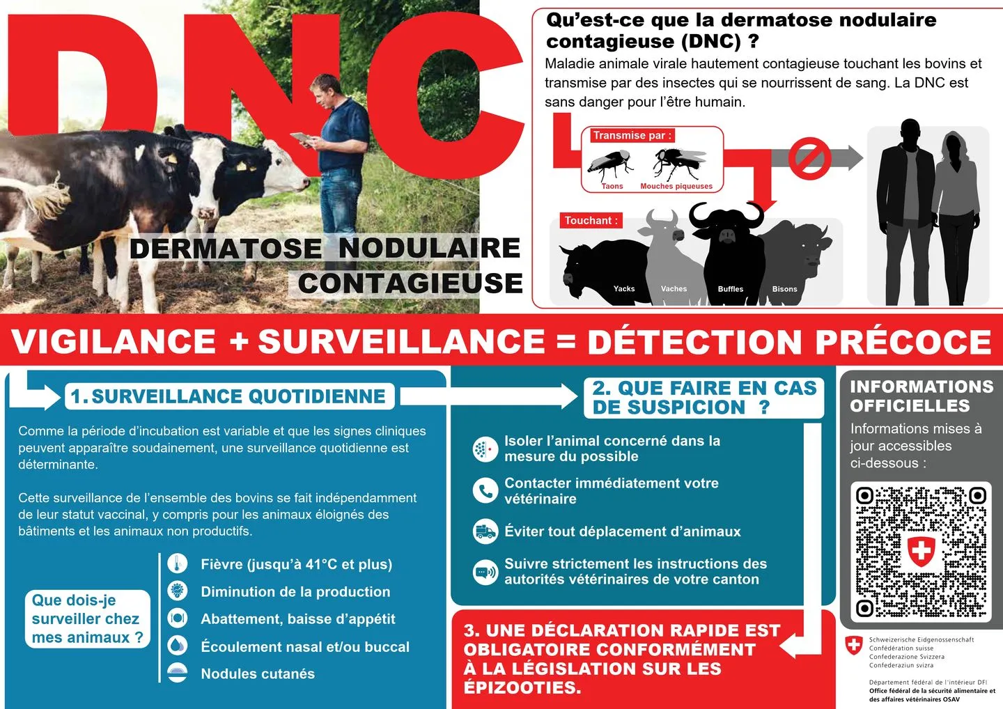 DNC flyer: vigilance et surveillance