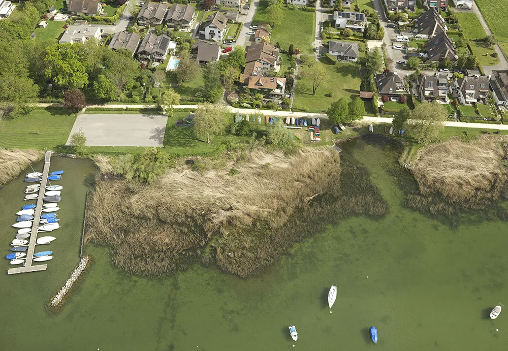 Murtensee, 2021