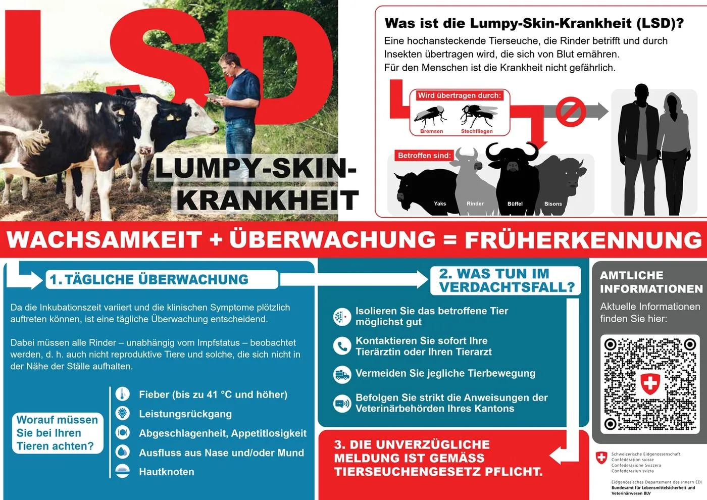 LSD flyer: Wachsamkeit und Überwachung