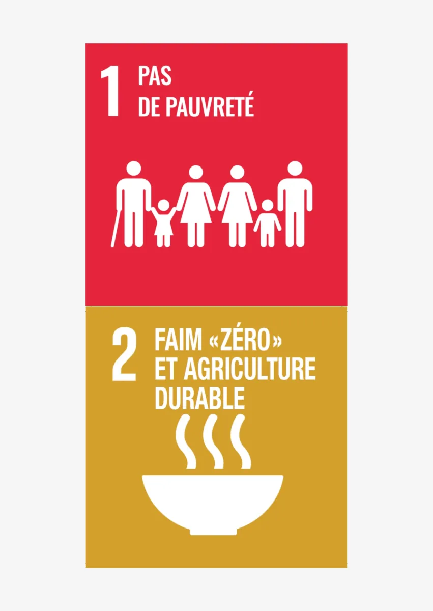 Une alimentation saine pour toutes et tous