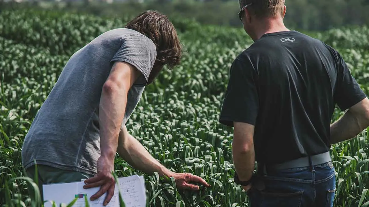 Agriculture Formation Continue