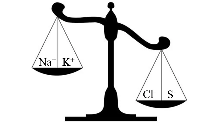 Balance CAtion Anion