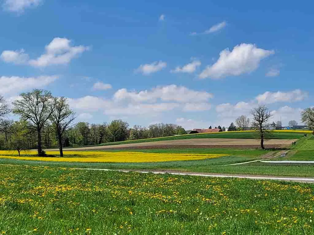 Projets Agricoles