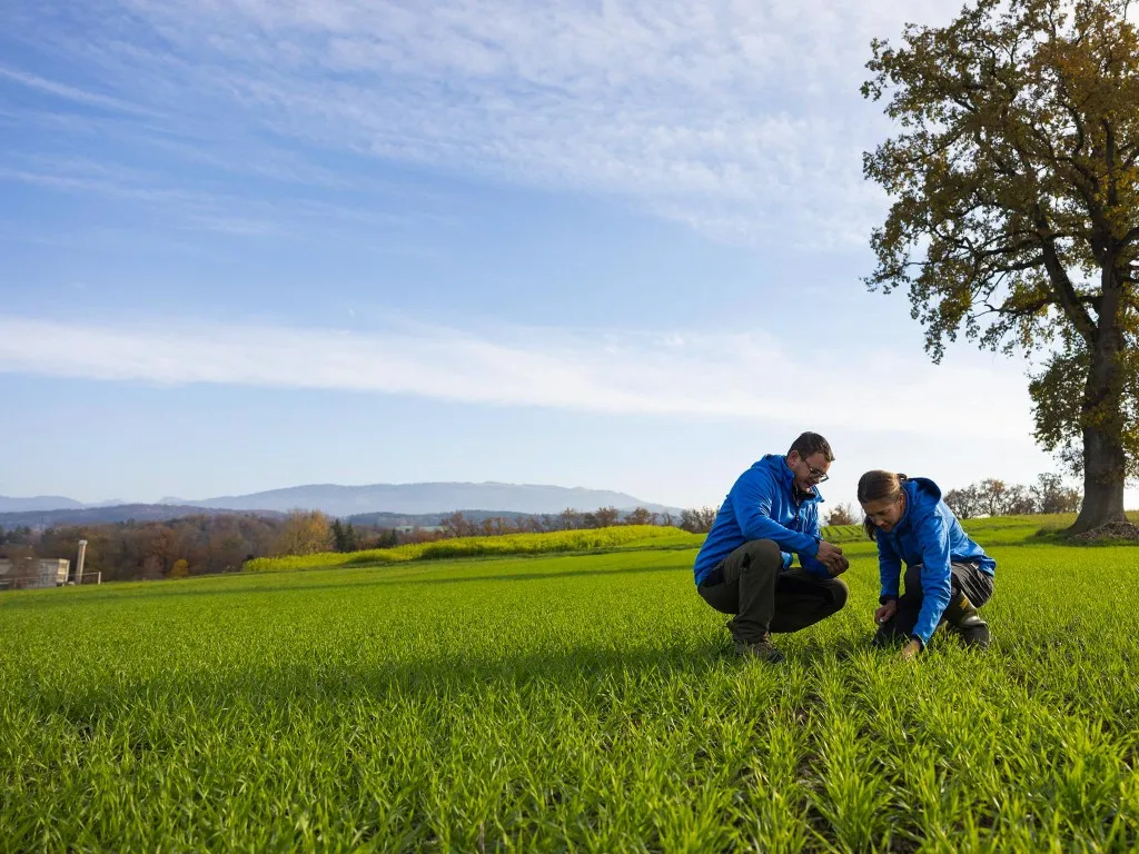 Section Agriculture