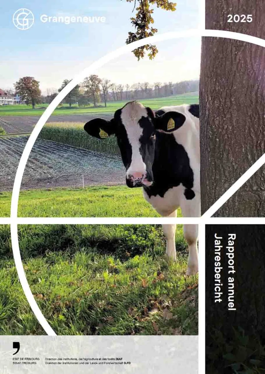 Cover Rapport annuel 2025