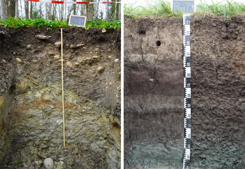  Beispiele für Bodenprofile, die bei einer Felduntersuchung beobachtet wurden