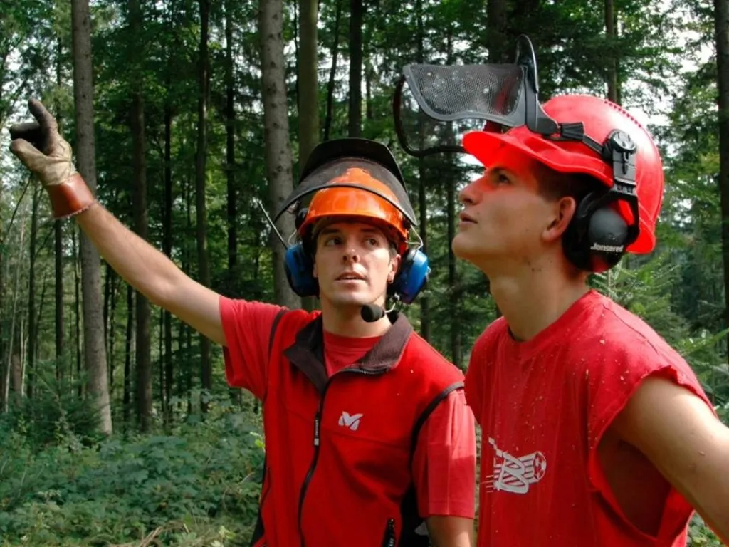 Entreprises formatrices Forestier-bûcherons - Office d'apprentissage