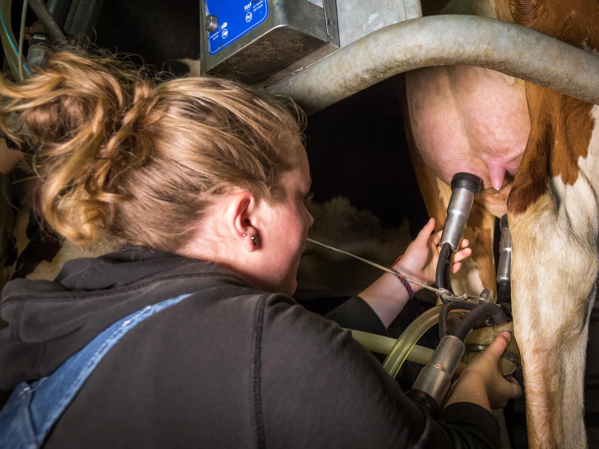 Photo Section Agriculture 11