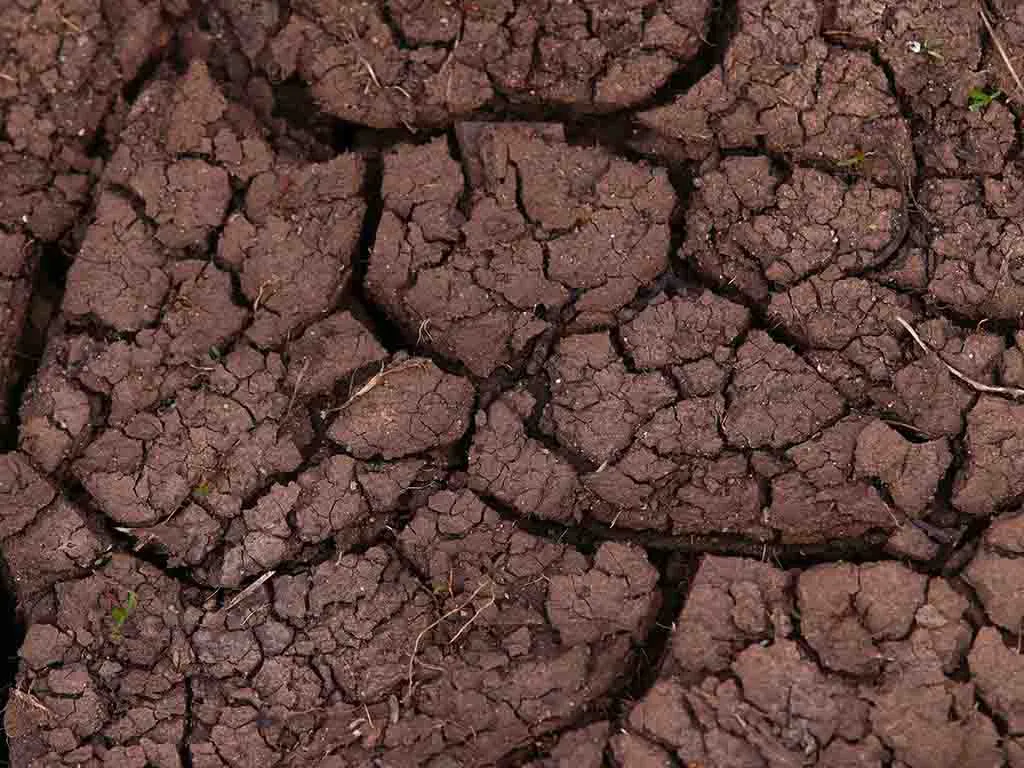 Protection des sols