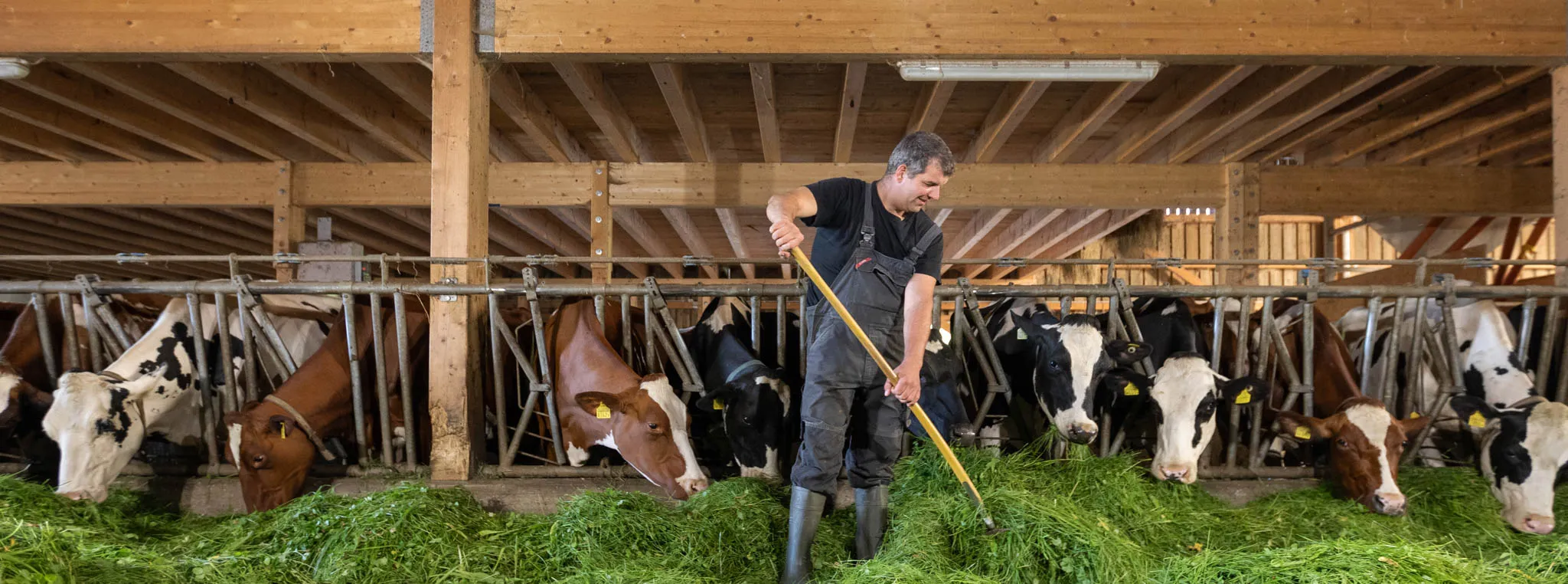 Récupérateur de chaleur sous toiture