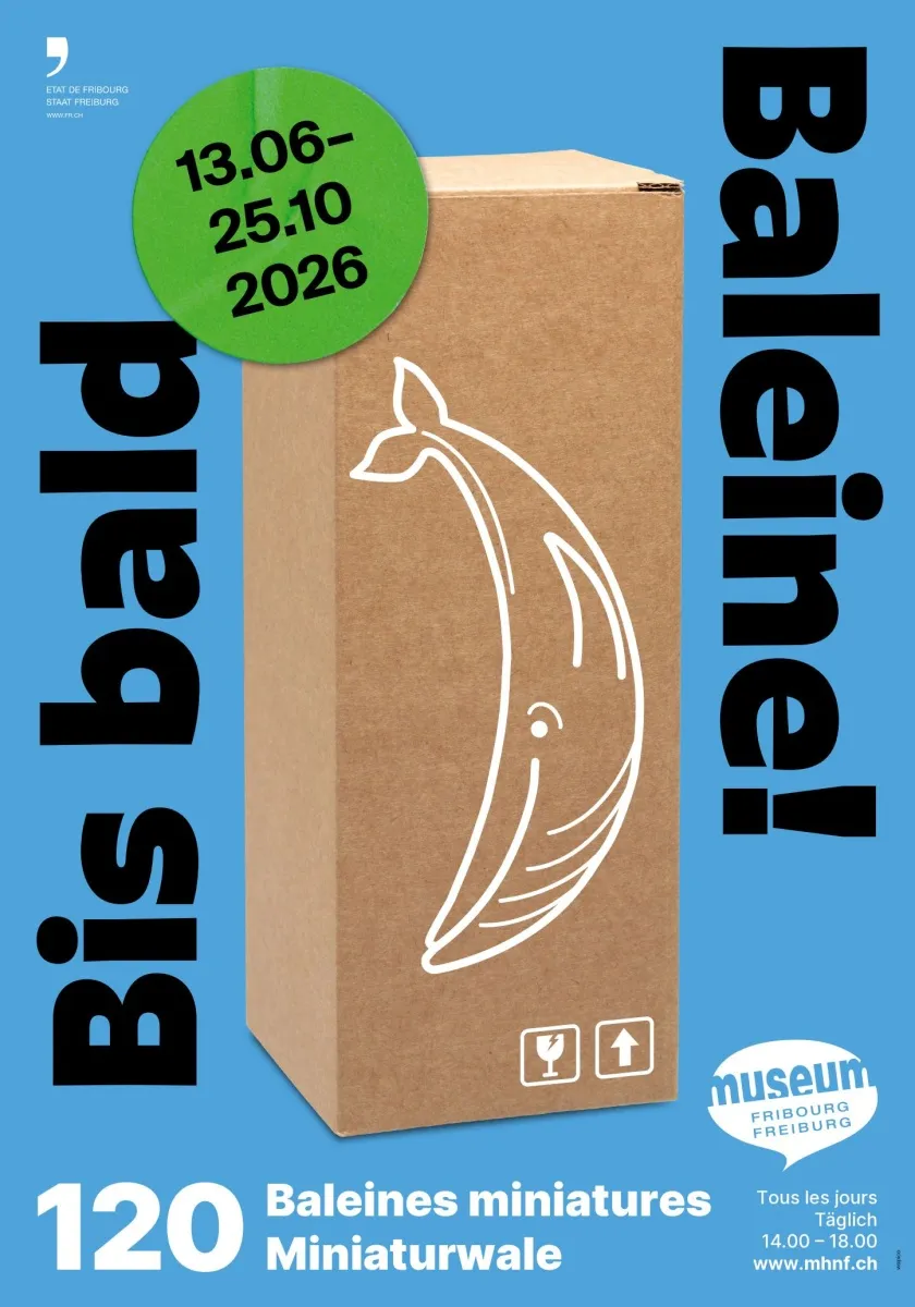 Bis bald Baleine ! - 120 Baleines miniatures
