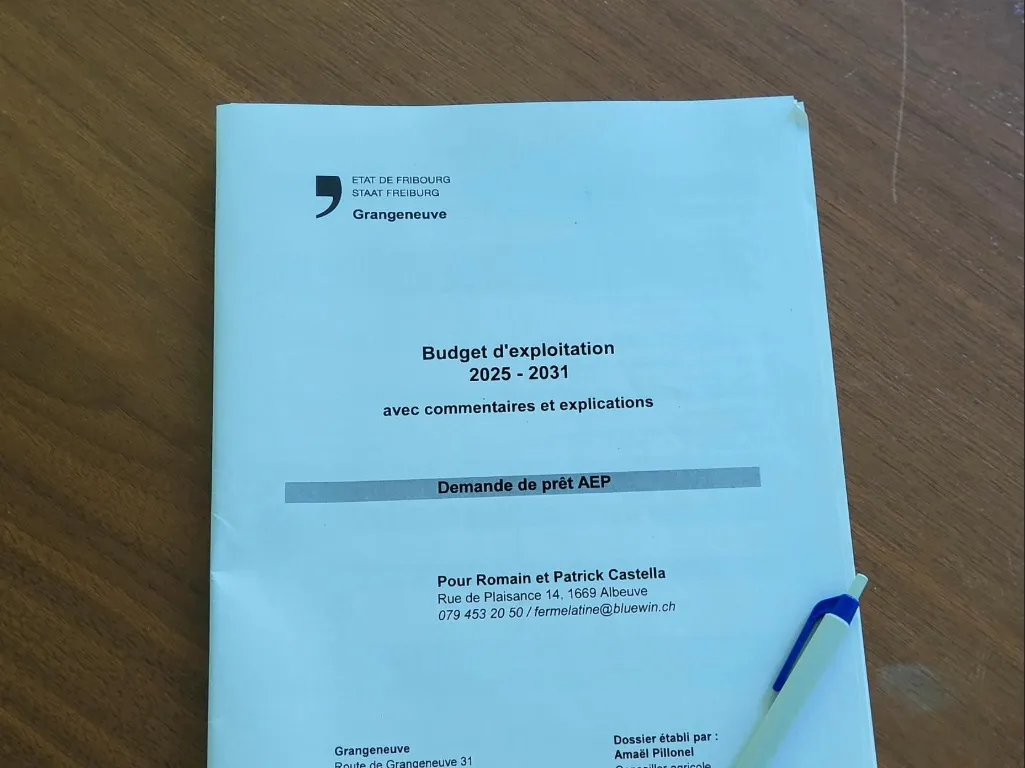 ’importance de la réflexion stratégique, du plan d’action et du budget d’exploitation