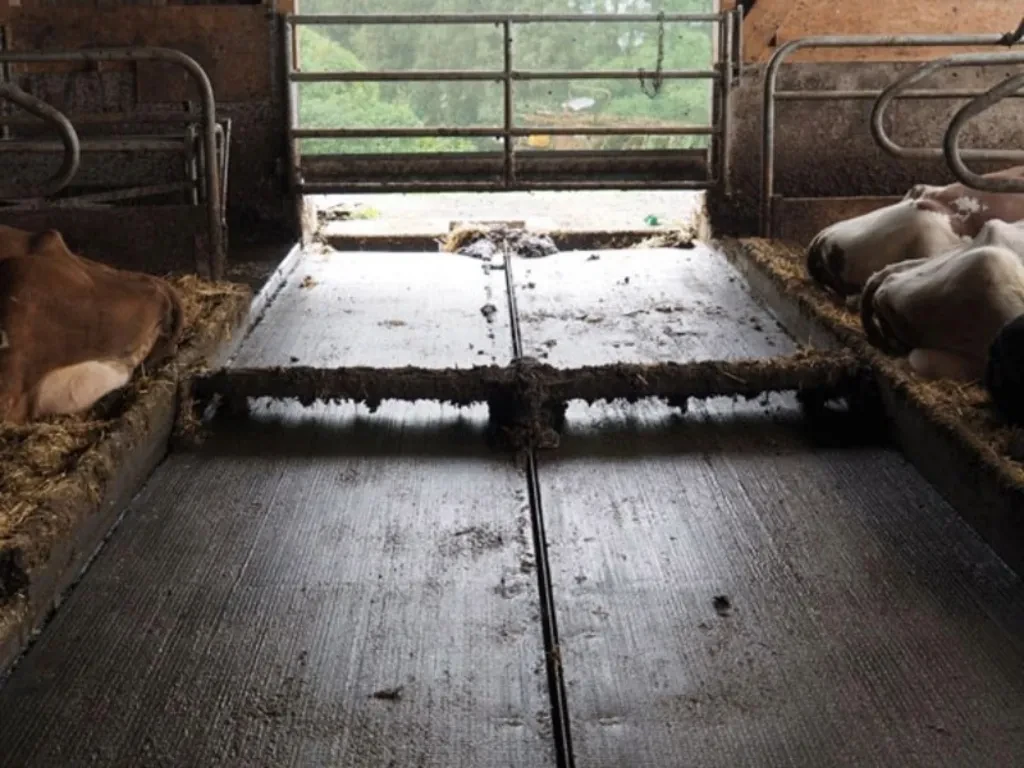 Propreté des couloirs