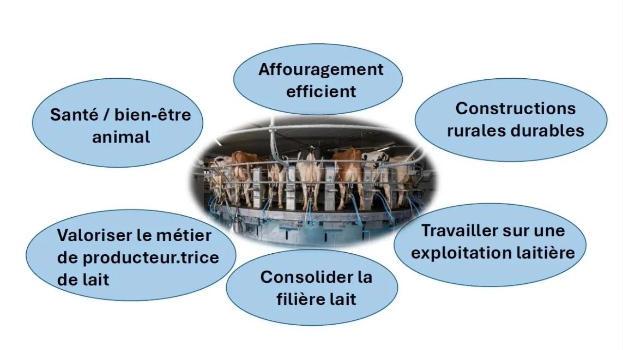 Axes de plan d'action