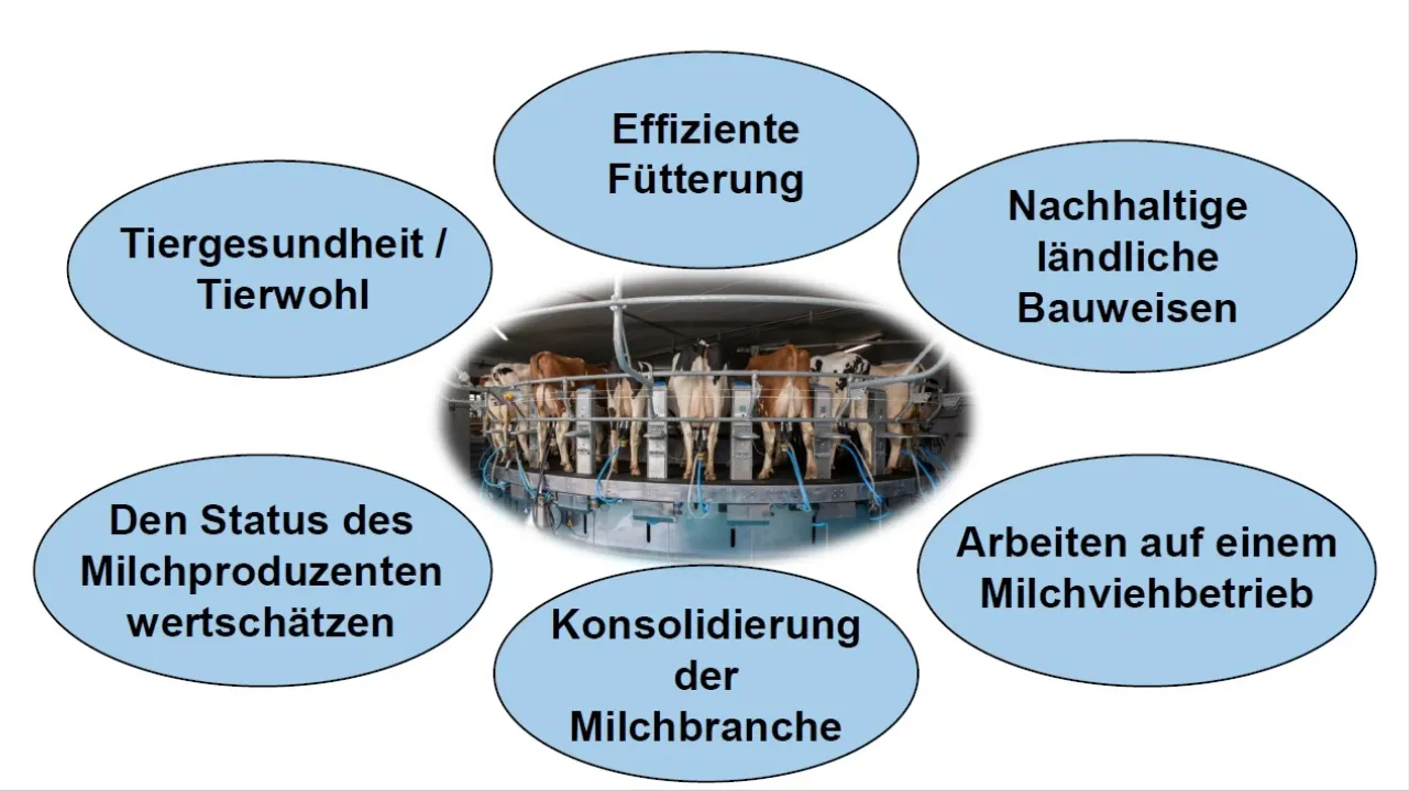 Entwicklung von Massnahmen und Dienstleistungen