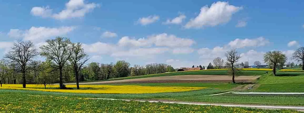 Grangeneuve