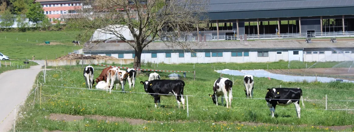 Bâtiments et exploitation agricole