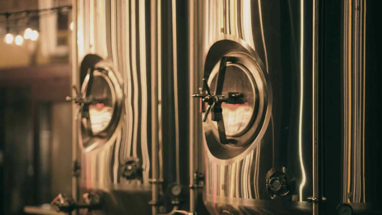 Cuve de fermentation 