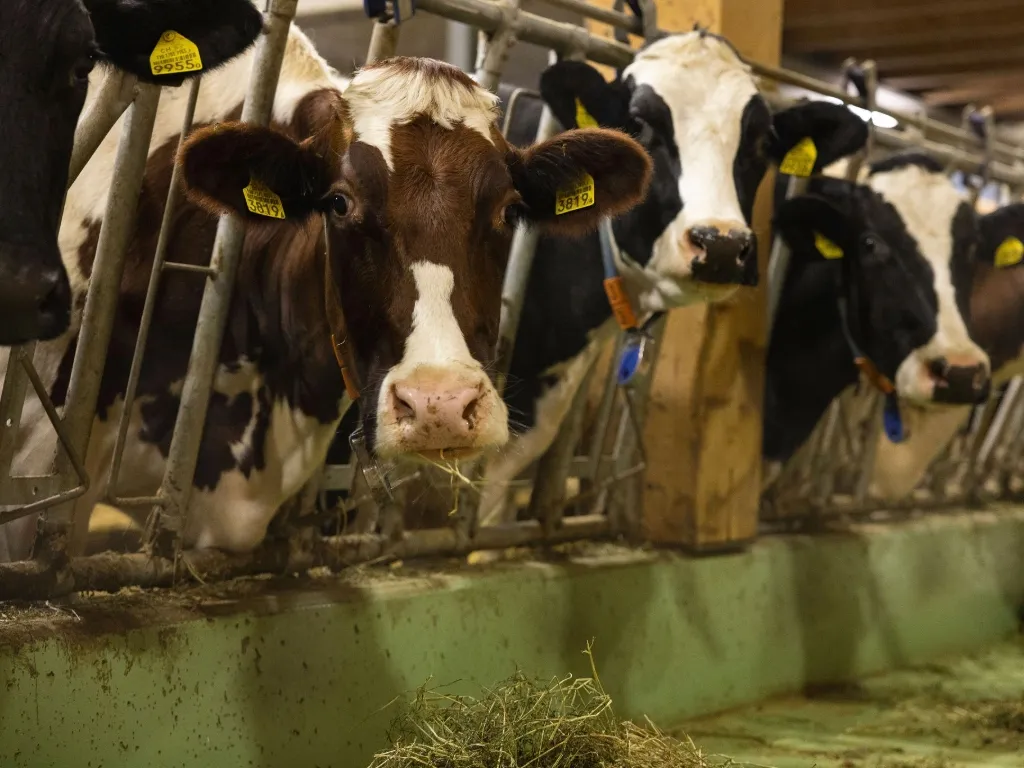 Gestion des risques : un levier stratégique pour renforcer la résilience des exploitations agricoles