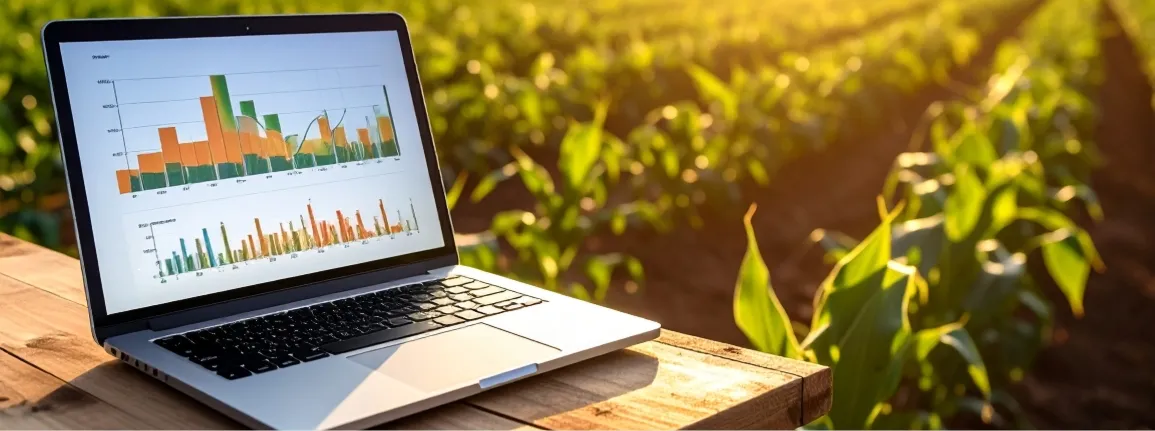 Le bilan de travail, un outil stratégique pour l'entreprise agricole