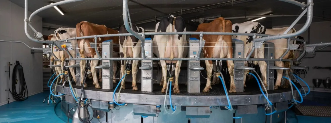 Plan d'action en faveur de la filière du lait