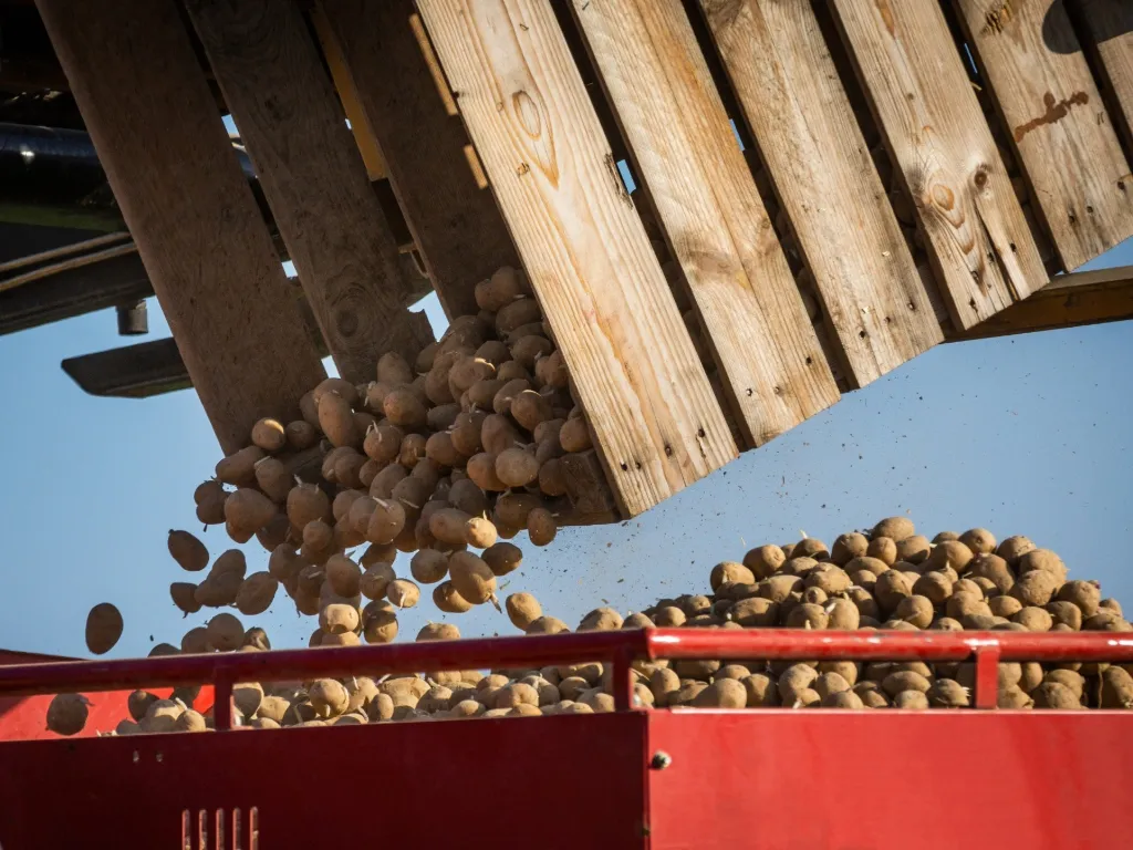 Planification des liquidités : un pilier stratégique pour l’exploitation agricole