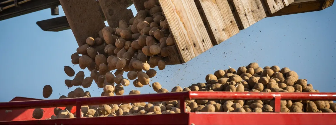 Planification des liquidités, un pilier stratégique pour l’exploitation agricole