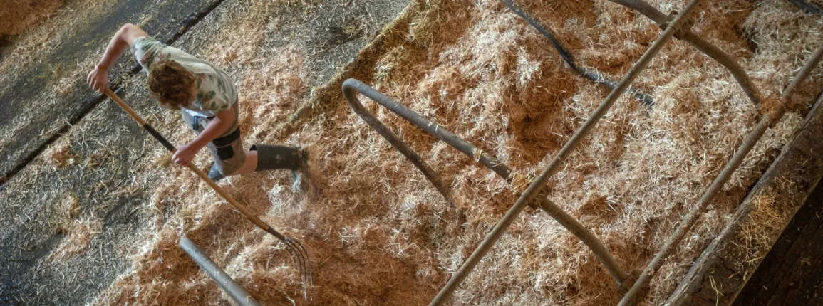 S'informer sur les constructions rurales