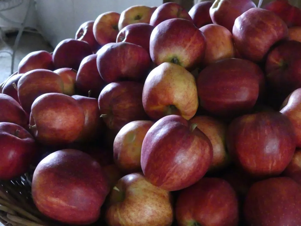 Vendre des produits agricoles en libre-service