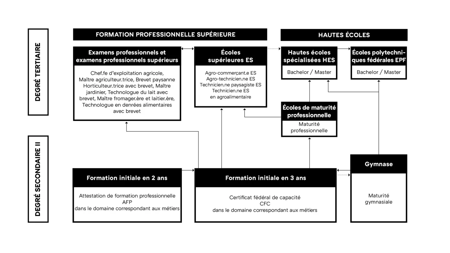 Voie de formation ES