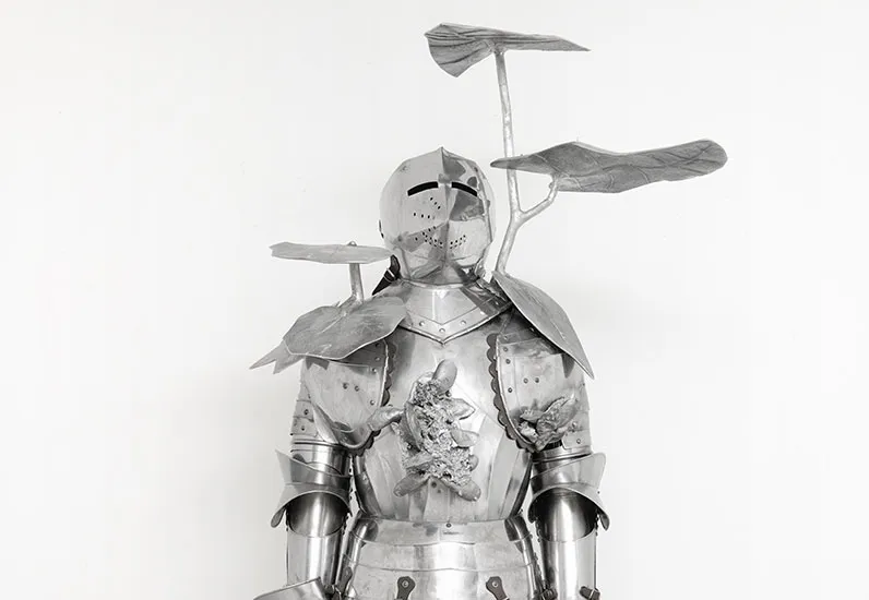 Chevalier errant
