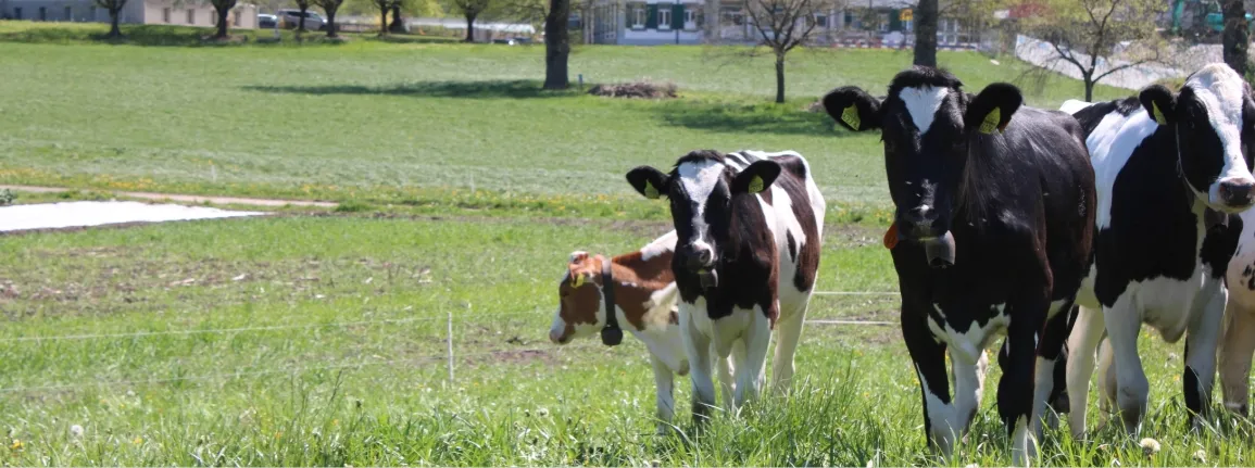 Formation continue en agriculture