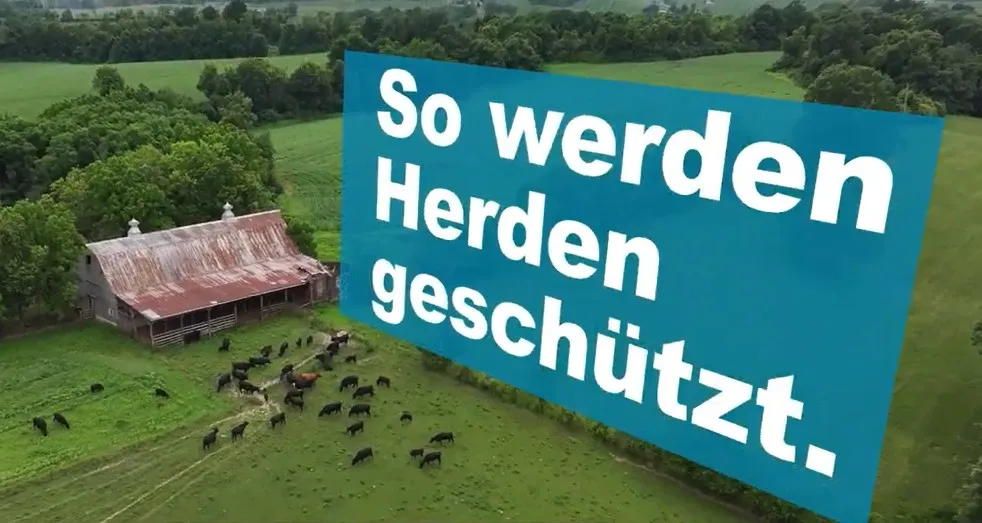 Link zum Video des BLV über Lumpy-Skin-Krankheit