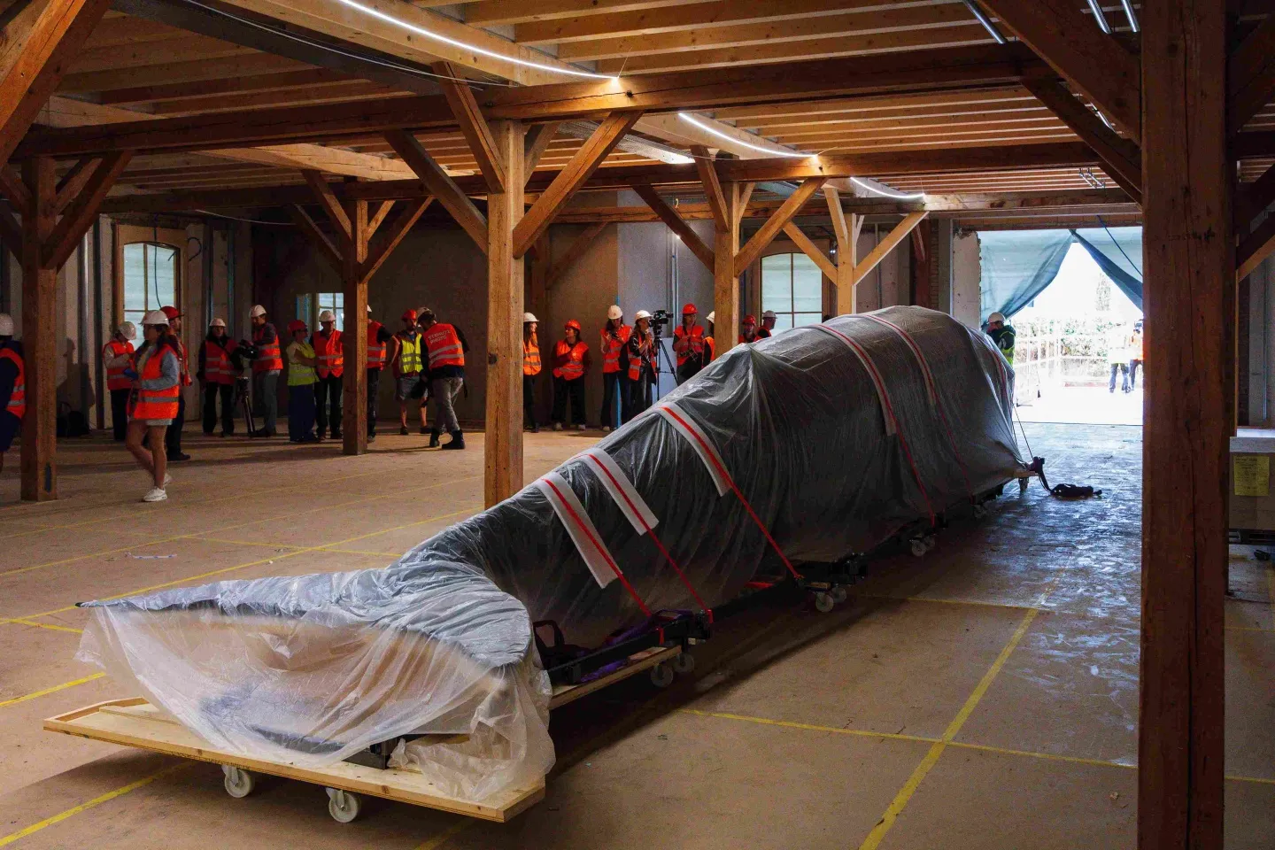 Im neuen Gebäude wartet der Wal in einem Saal der künftigen Dauerausstellung auf die Eröffnung.