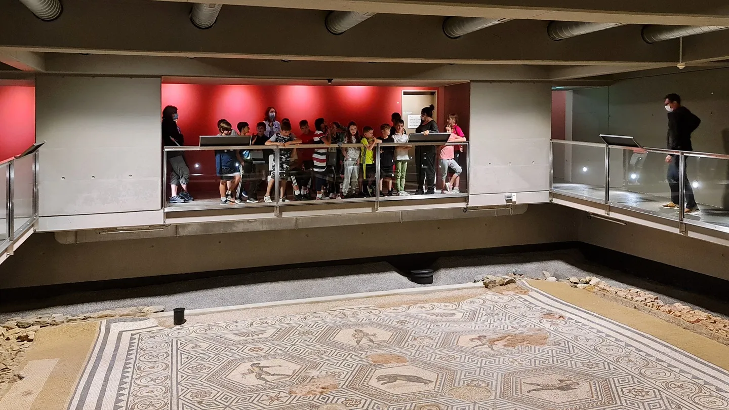 Le Musée romain de Vallon