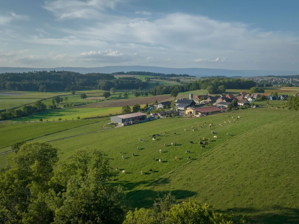 Wirtschaftliche Expertisen