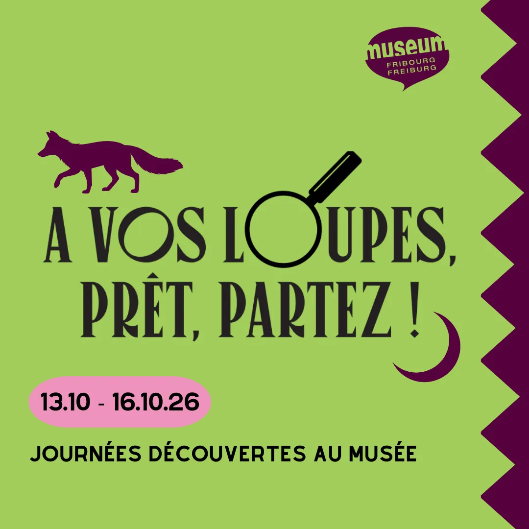 À vos loupes, prêt, partez !