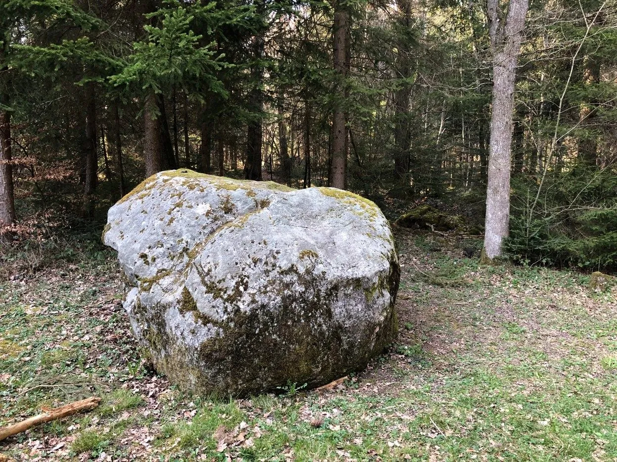 Bloc erratique de Corminboeuf