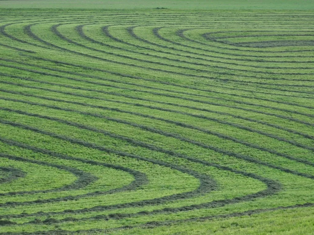 Prix de l'herbe sur pied et récoltée en andain