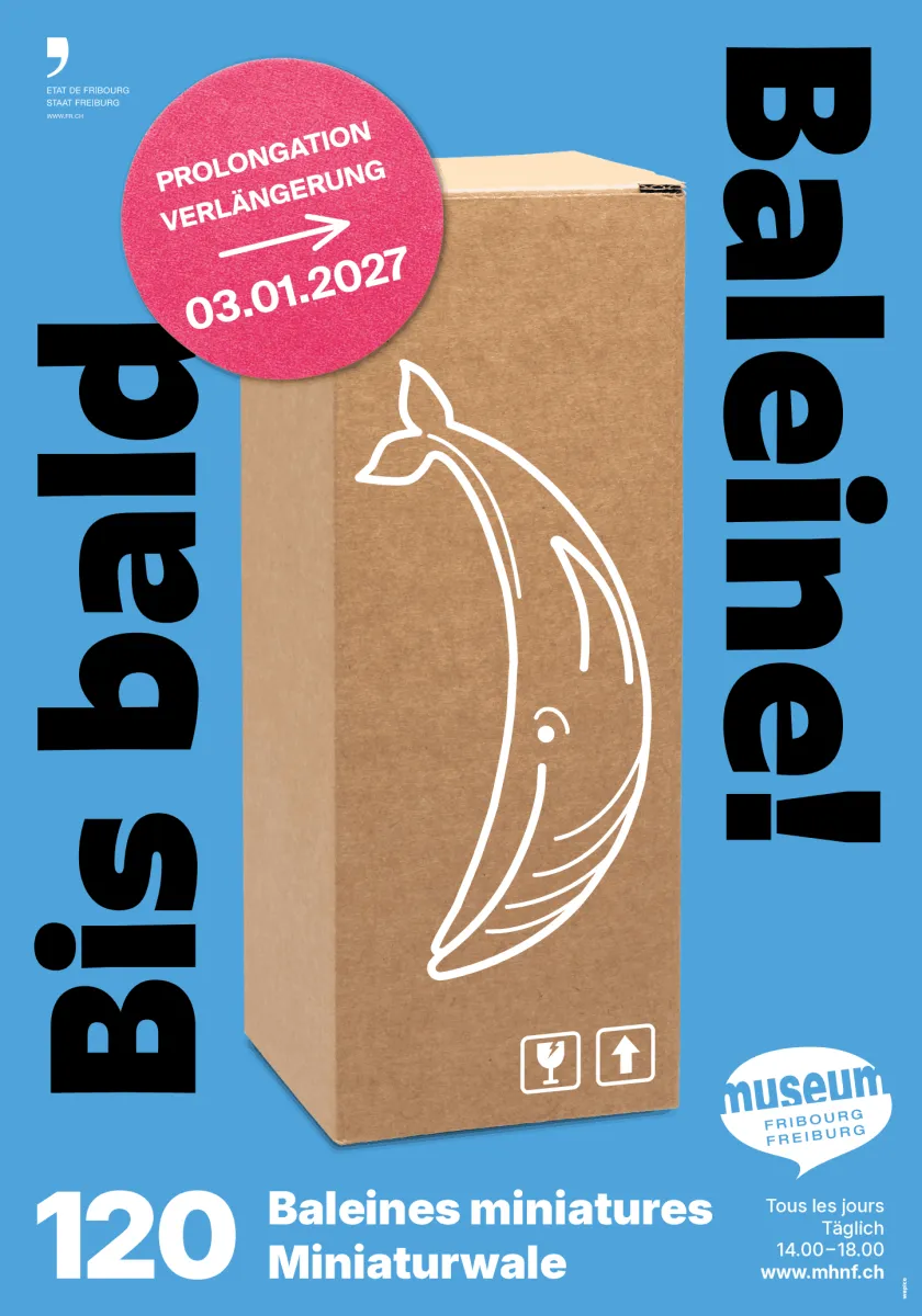 Bis bald Baleine! - 120 Miniaturwale