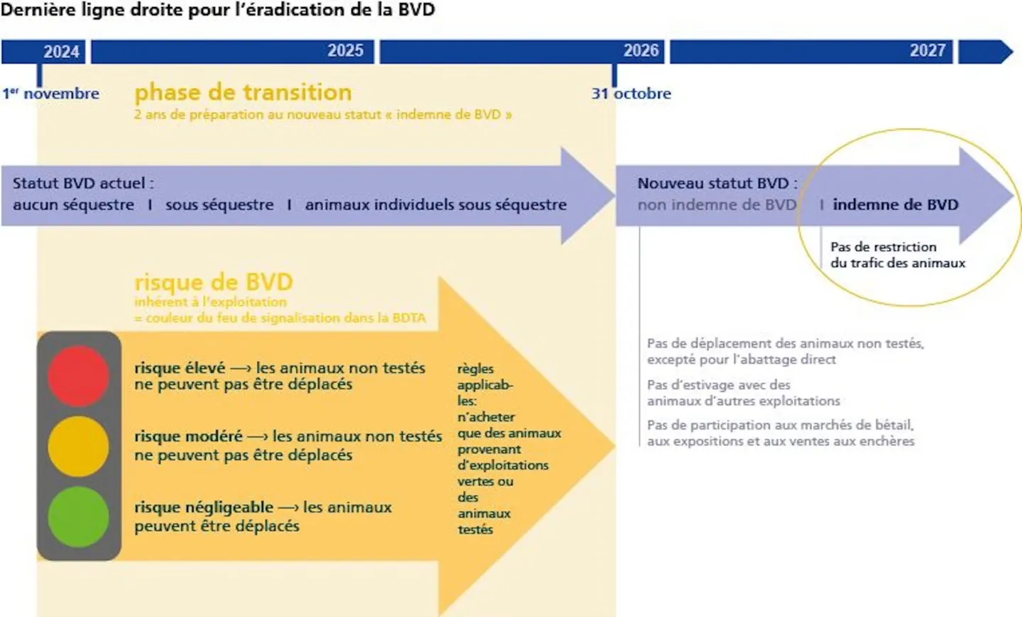 Dernière ligne droite pour l'éradication de la BVD: nouveau statut